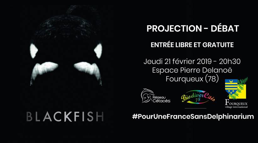 Projection « Blackfish, l’orque tueuse » – Jeudi 21 février 2019, Fourqueux (78)