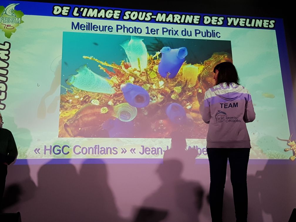 Réseau-Cétacés au Festival de l’Image Sous-Marine des Yvelines, Le Chesnay – 23 mars 2019