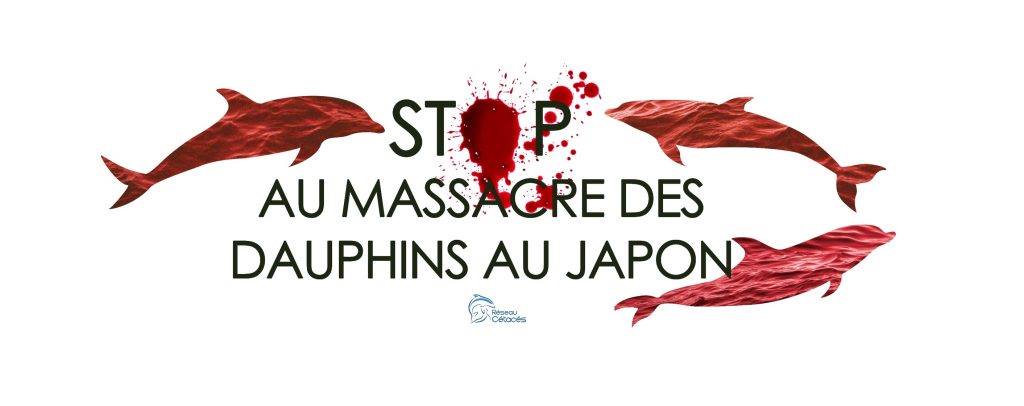 Chasse au dauphin au Japon : fin de la saison 2018/2019 – Communiqué de presse