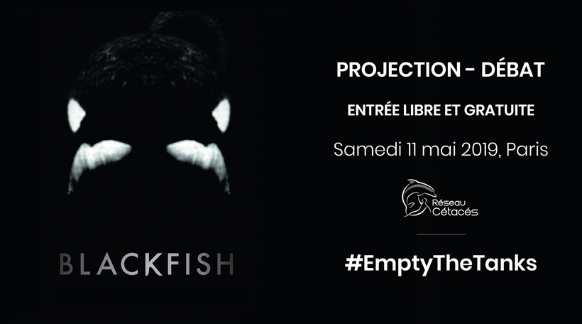 📢  Samedi 11 mai 2019 à Paris : journée mondiale #EmptyTheTanks (« Videz les bassins »)