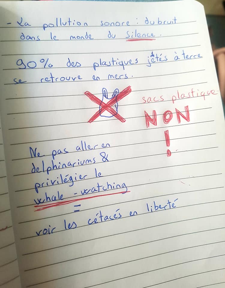 Intervention au collège Catherine de Vivonne – Rambouillet (78), le 17 avril 2019…