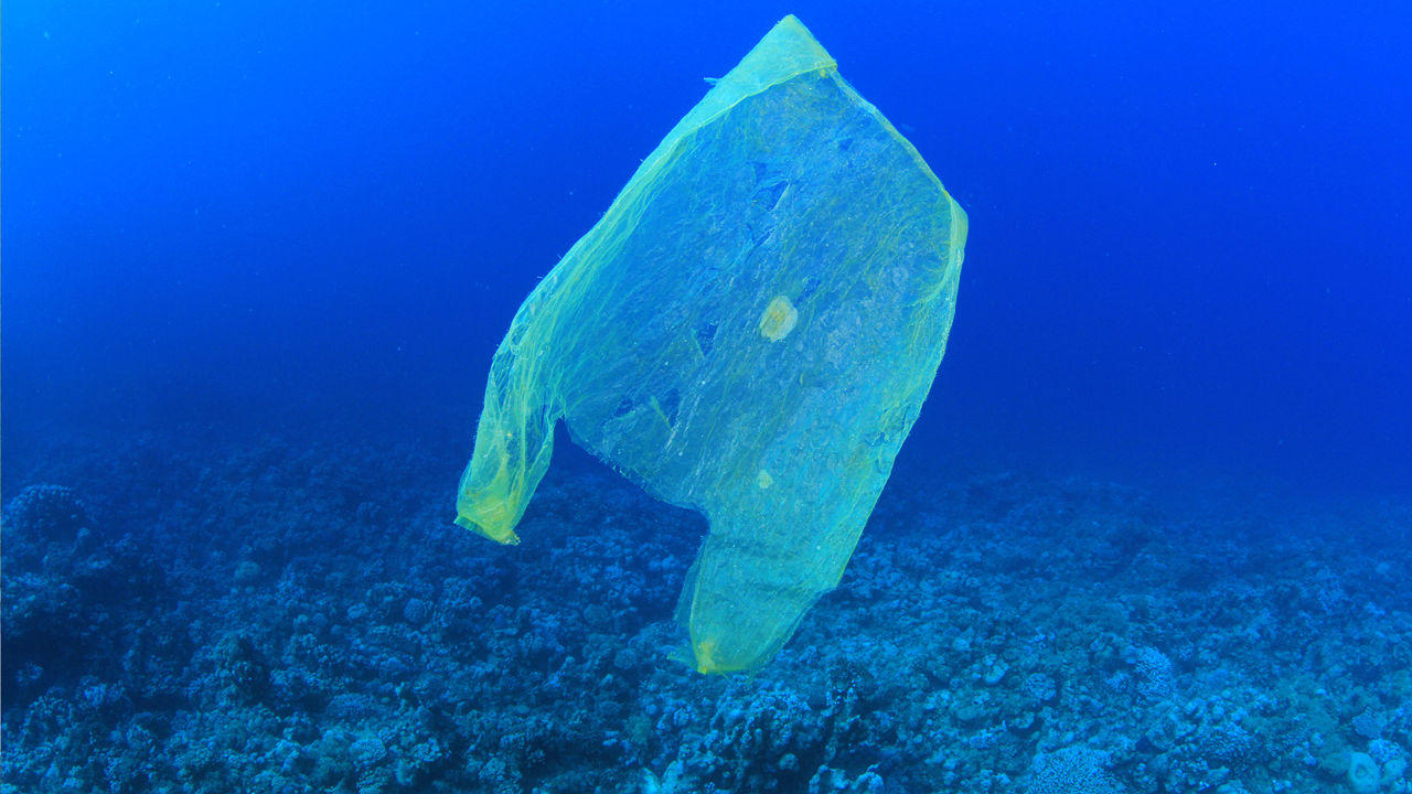 Le sac plastique le plus profond jamais trouvé, à près de 12 km sous l’eau