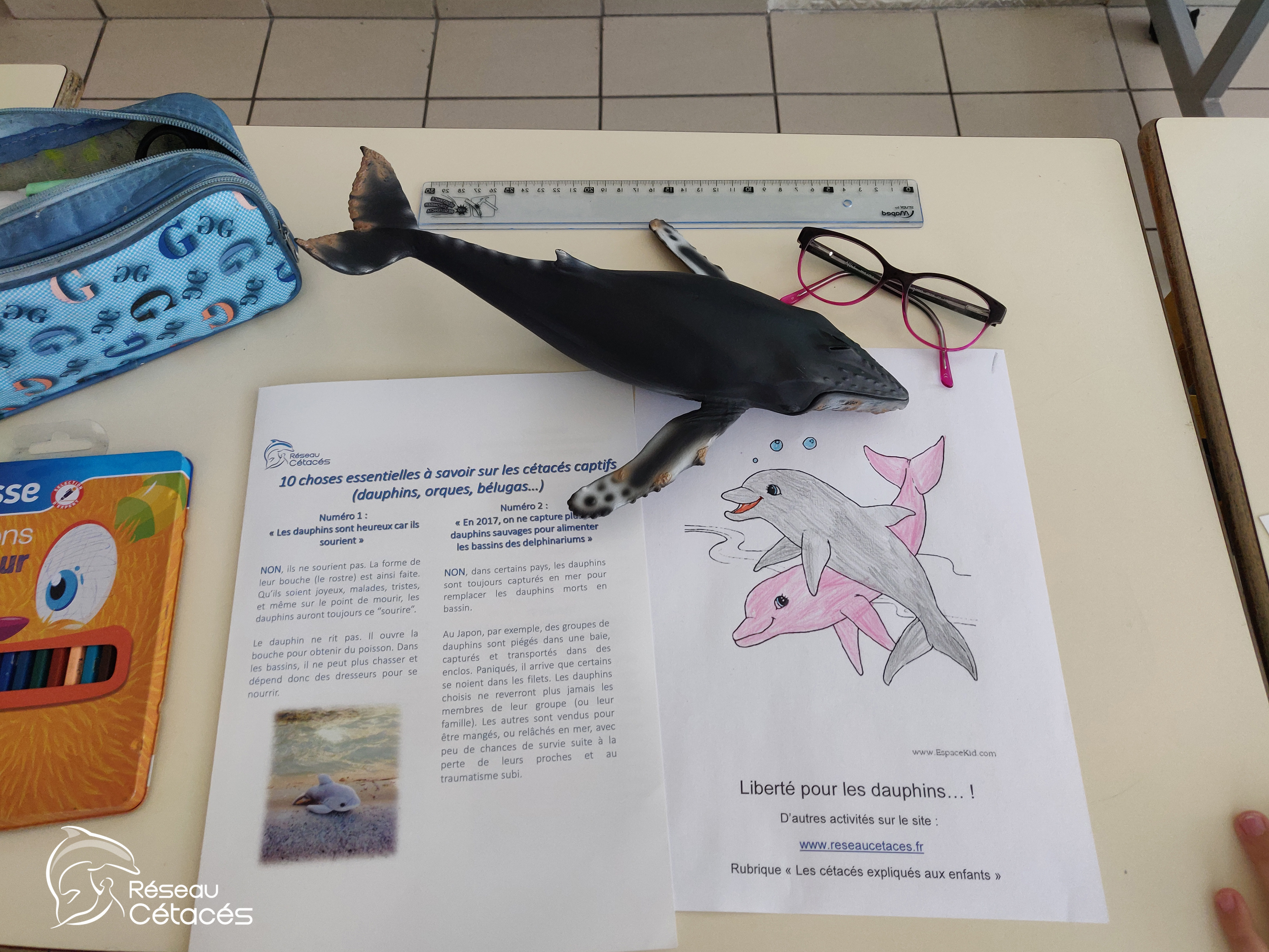 Intervention à l’école Pasteur – Nice (06), le 23 mai 2019…
