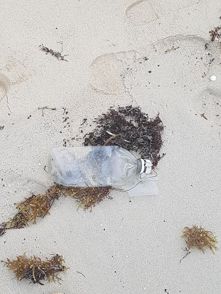 À 70 ans, elle a passé un an à nettoyer des plages