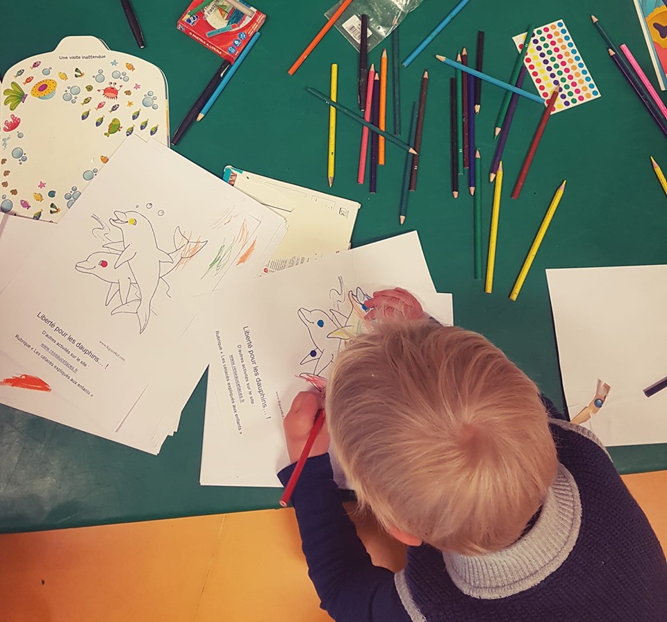 Intervention à l’école Aristide Briand – La Frette sur Seine (95), le 18 mai 2019…