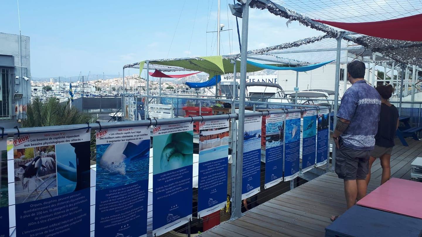 L’exposition #LibertéDauphins à Marseille
