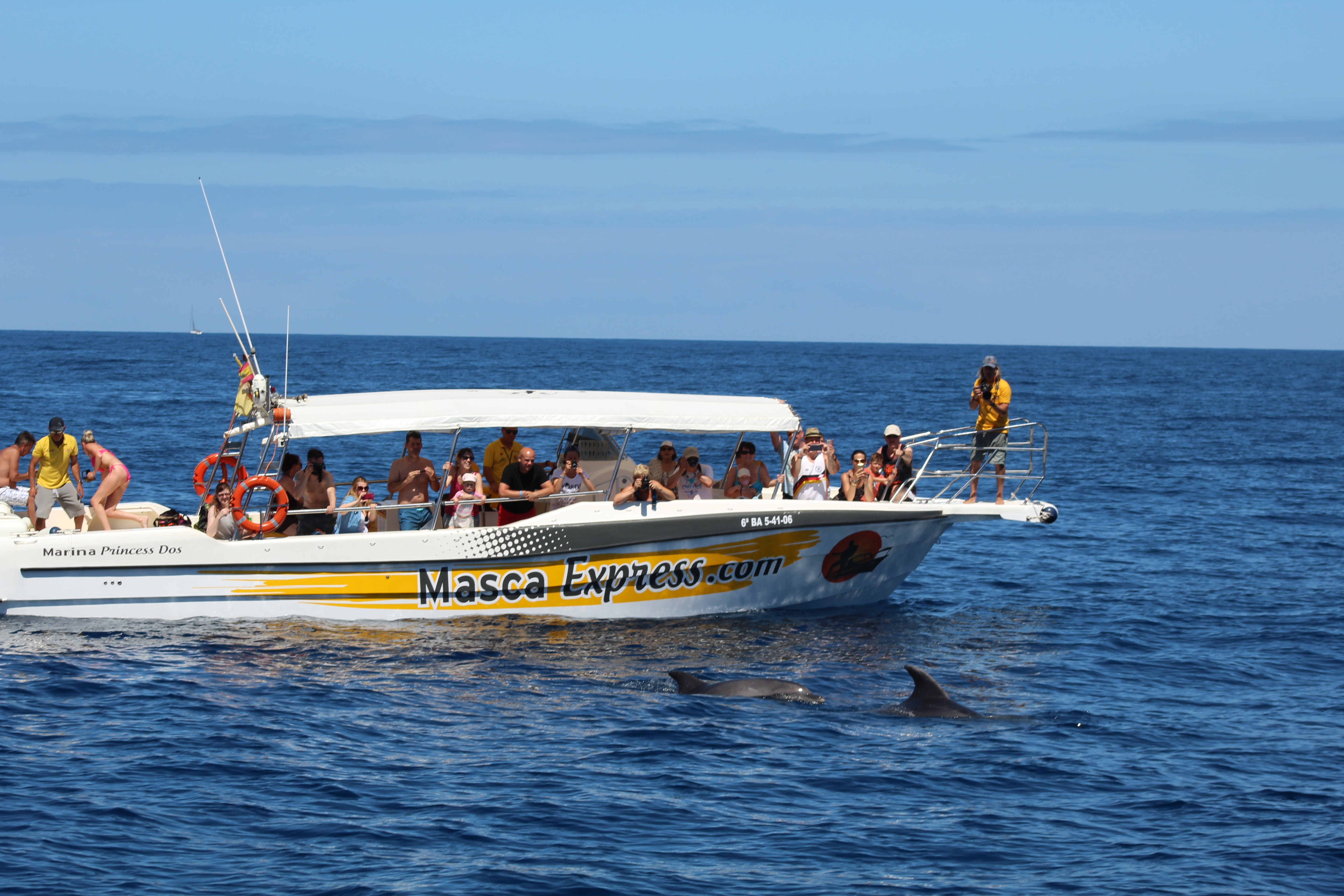 Un label pour valoriser l’observation des cétacés en mer Méditerranée