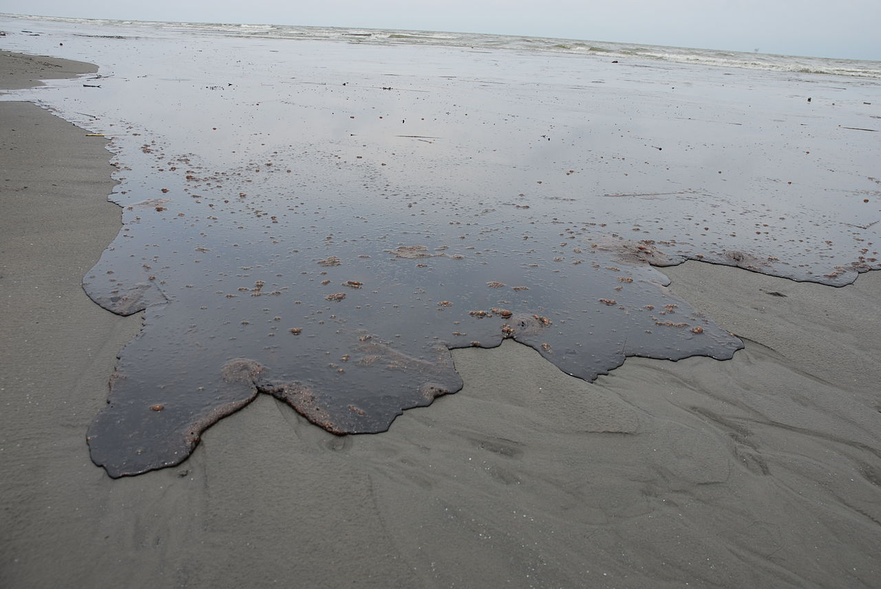 Marée noire au Chili : 40.000 litres de pétrole déversés dans des eaux parmi les plus pures de la planète