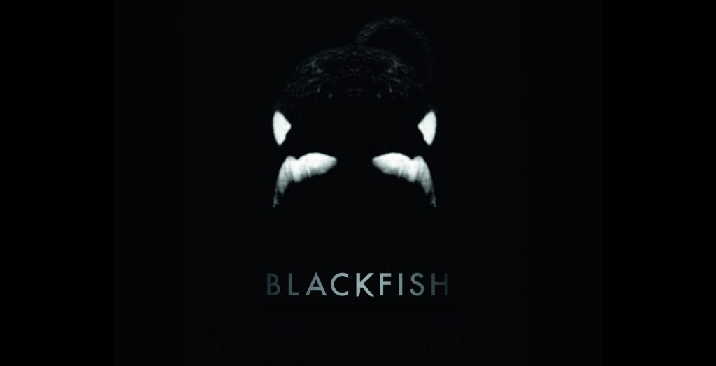 « Blackfish, l’orque tueuse »