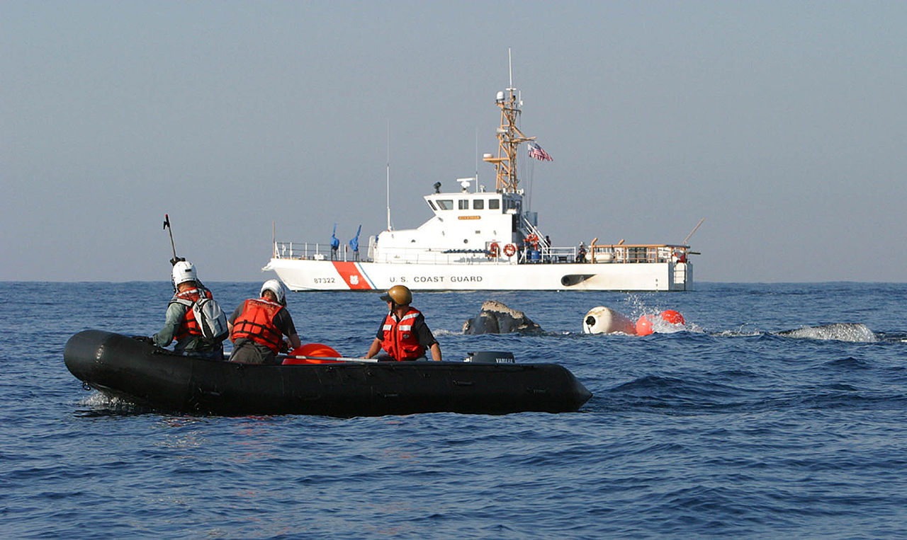 Canada – Une baleine noire a réussi à se libérer d’un engin de pêche au large de Miscou