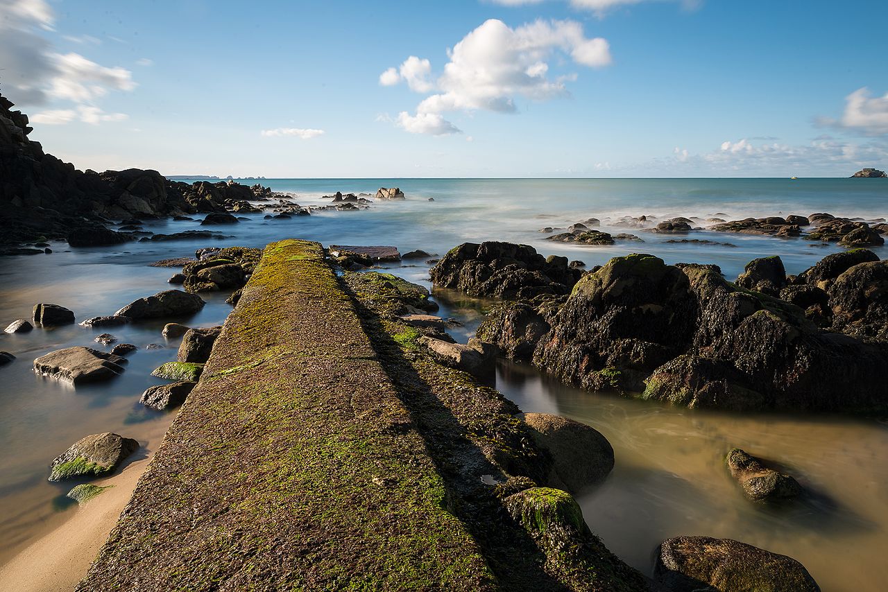 Bretagne – Richesses du parc d’Iroise. Paradis des mammifères marins