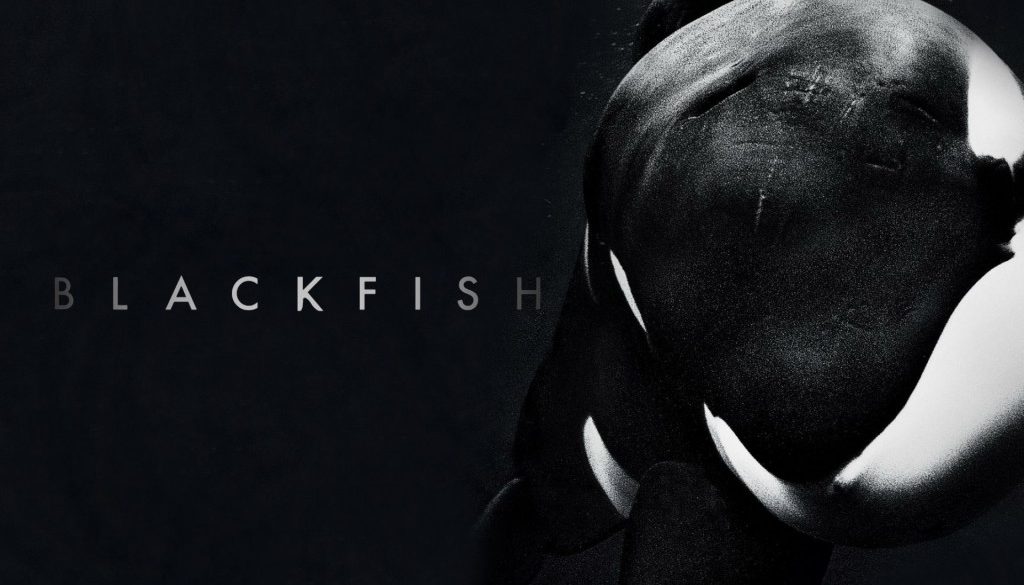 Projection « Blackfish, l’orque tueuse » ~ Montrouge, le 22 septembre 2019