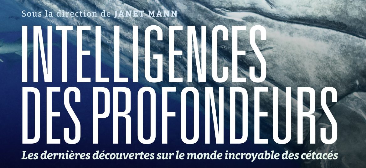 📖 Idée lecture « Intelligences des profondeurs. Les dernières découvertes sur le monde incroyable des cétacés »