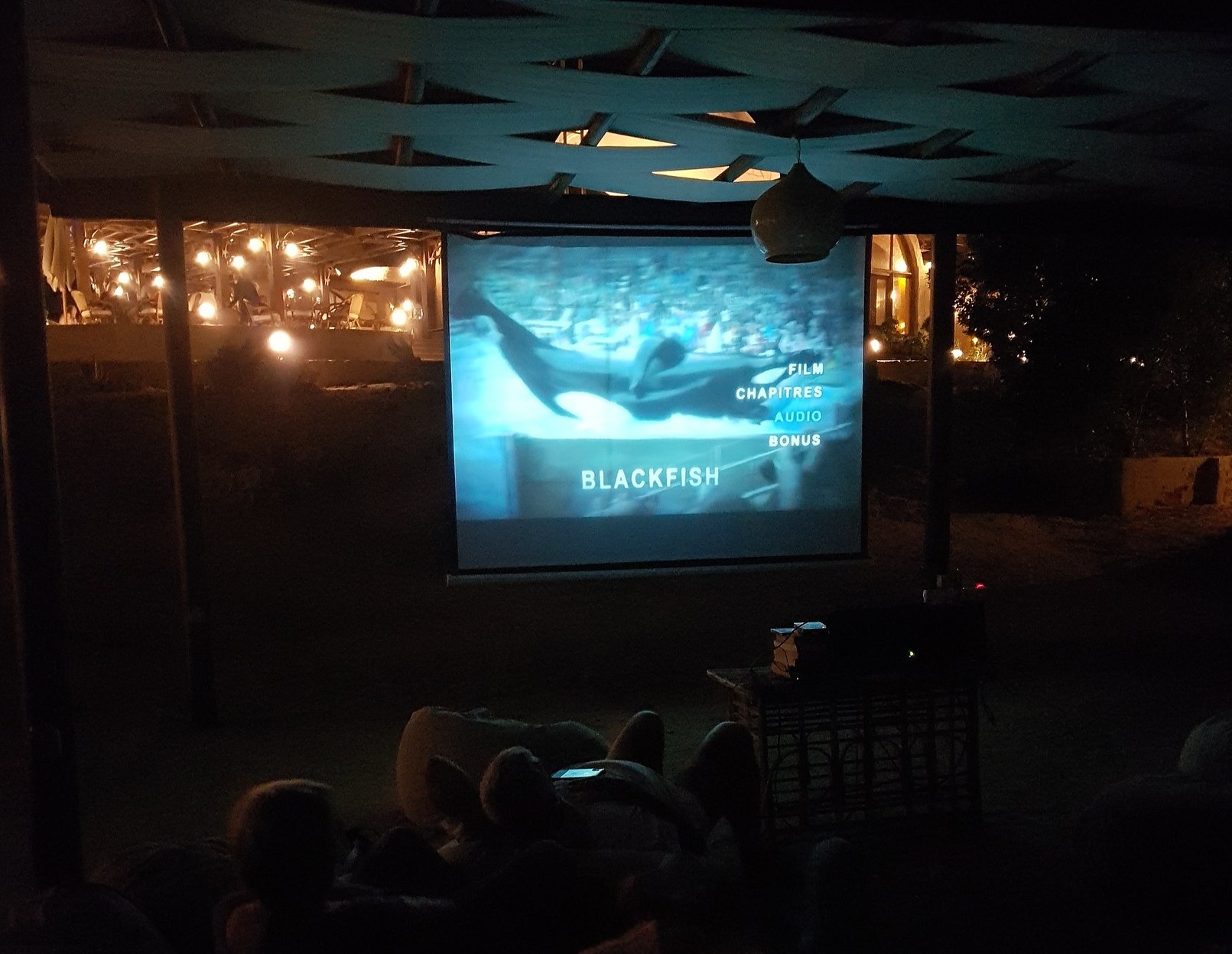 Projection « Blackfish, l’orque tueuse » ~ Marsa Shagra Village (Egypte), le 11 octobre 2019