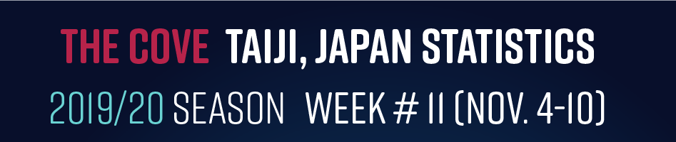 Chasse au dauphin à Taïji (Japon) – Bilan semaine du 04 au 10 novembre 2019 #11