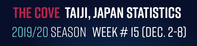 Chasse au dauphin à Taïji (Japon) – Bilan semaine du 02 au 08 décembre 2019 #15
