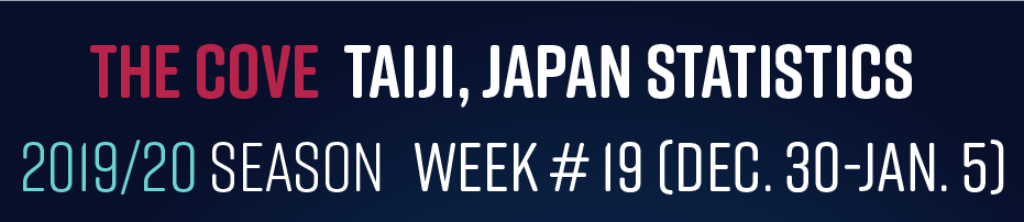 Chasse au dauphin à Taïji (Japon) – Bilan semaine du 30 décembre 2019 au 05 janvier 2020 #19