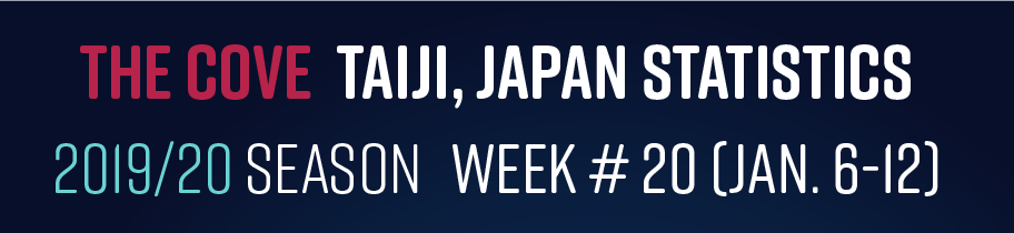 Chasse au dauphin à Taïji (Japon) – Bilan semaine du 06 au 12 janvier 2020 #20