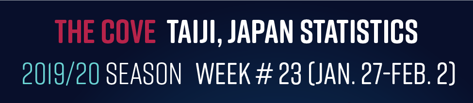 Chasse au dauphin à Taïji (Japon) – Bilan semaine du 27 janvier au 02 février 2020 #23
