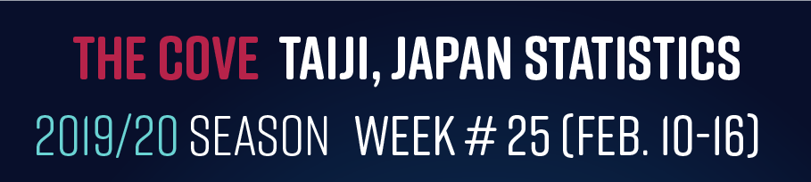 Chasse au dauphin à Taïji (Japon) – Bilan semaine du 10 au 16 février 2020 #25