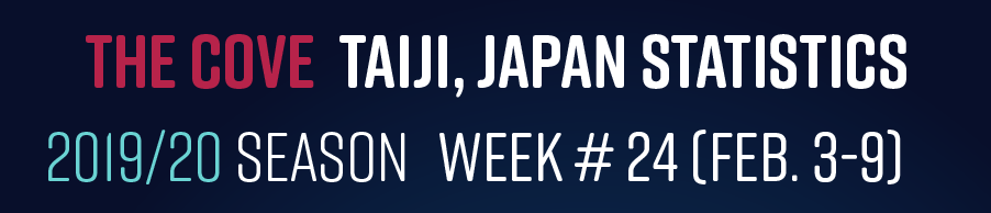 Chasse au dauphin à Taïji (Japon) – Bilan semaine du 03 au 09 février 2020 #24