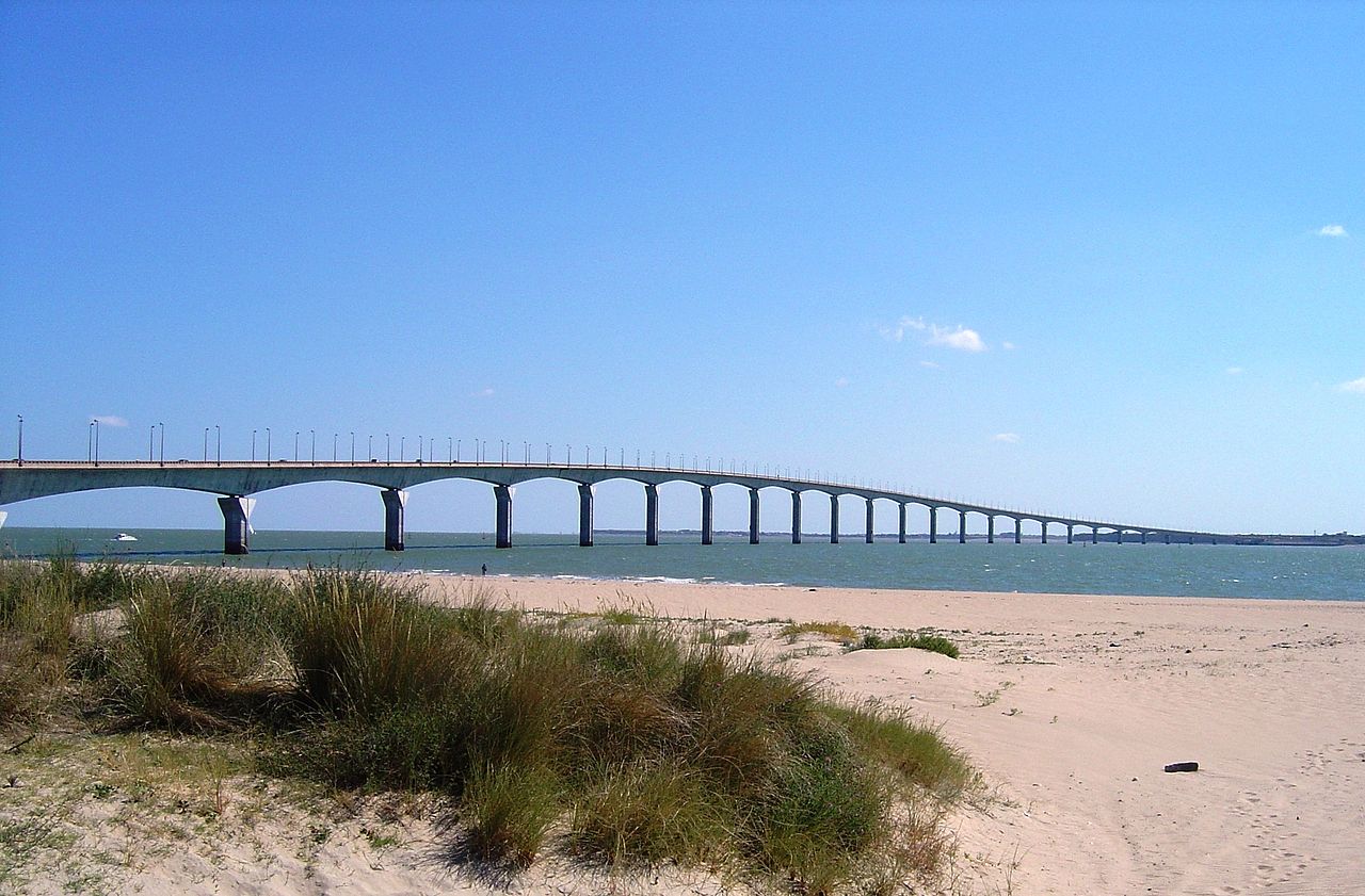 Charente-Maritime ~ Île de Ré : deux cadavres de dauphins sur la plage