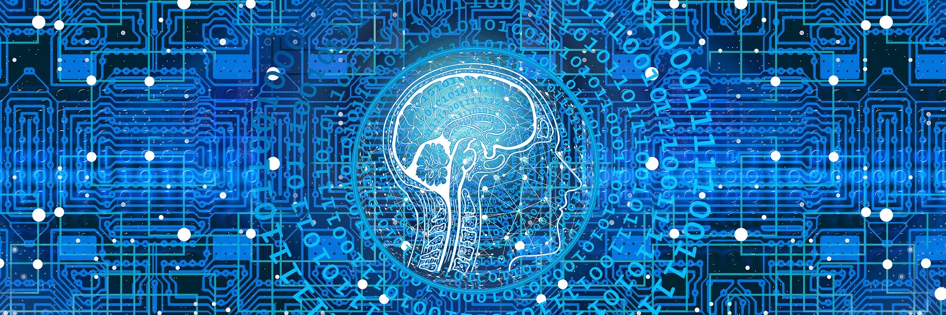 En Alaska, l’Intelligence Artificielle au secours des phoques et des bélugas en voie de disparition