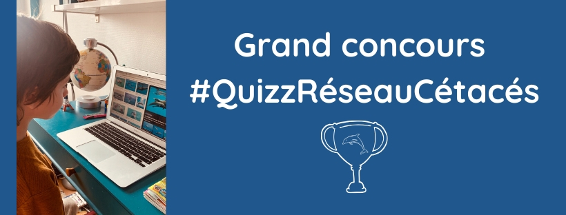 Grand concours #QuizzRéseauCétacés