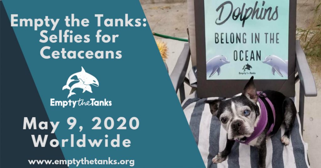 Empty the Tanks ~ Selfies pour les cétacés ! Le samedi 9 mai depuis chez vous