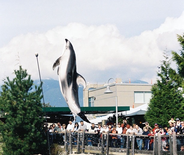 Canada ~ L’Aquarium de Vancouver pourrait fermer ses portes sans aide financière