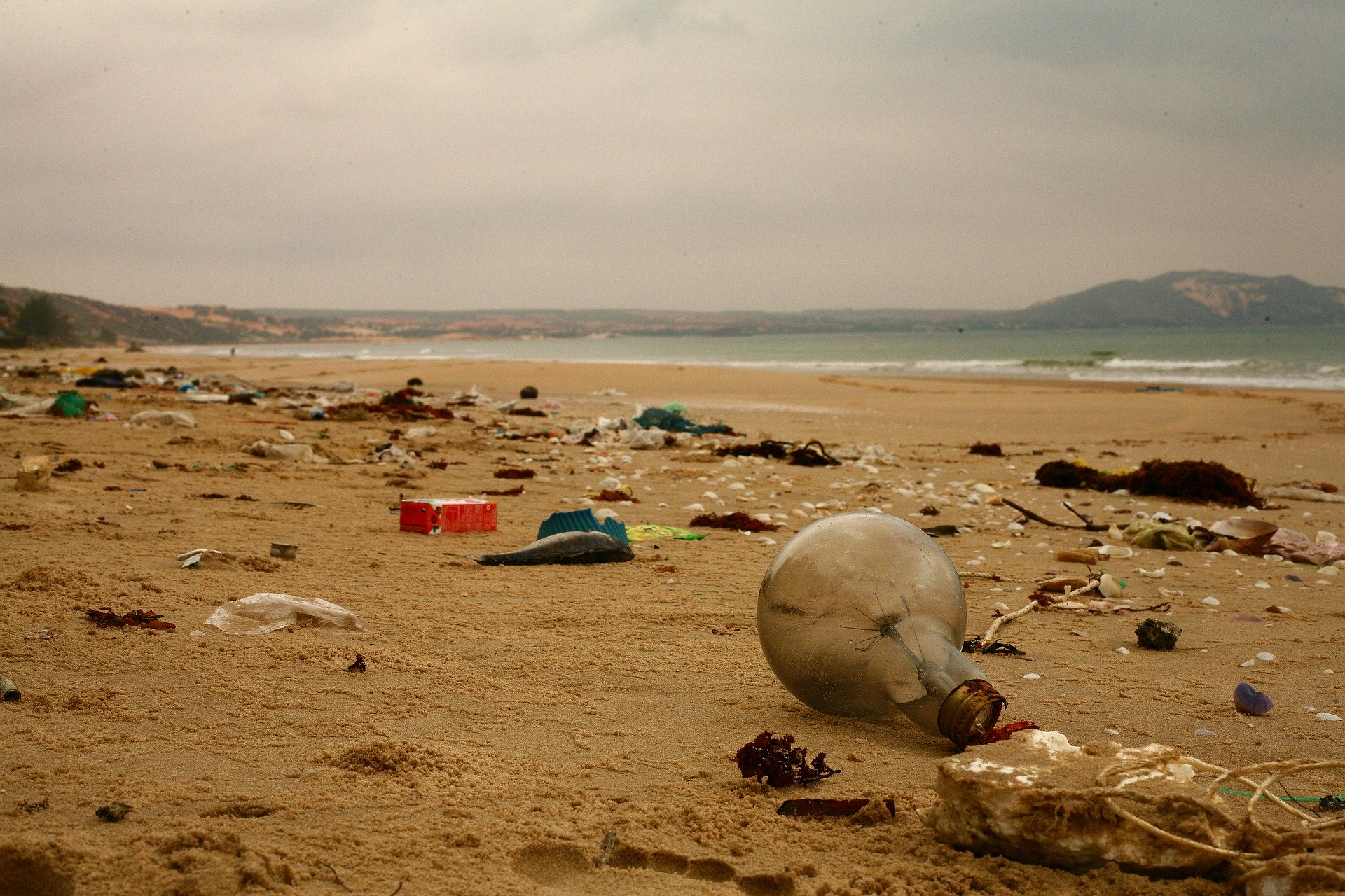 Comment limiter, à son échelle, la pollution aux microplastiques ?