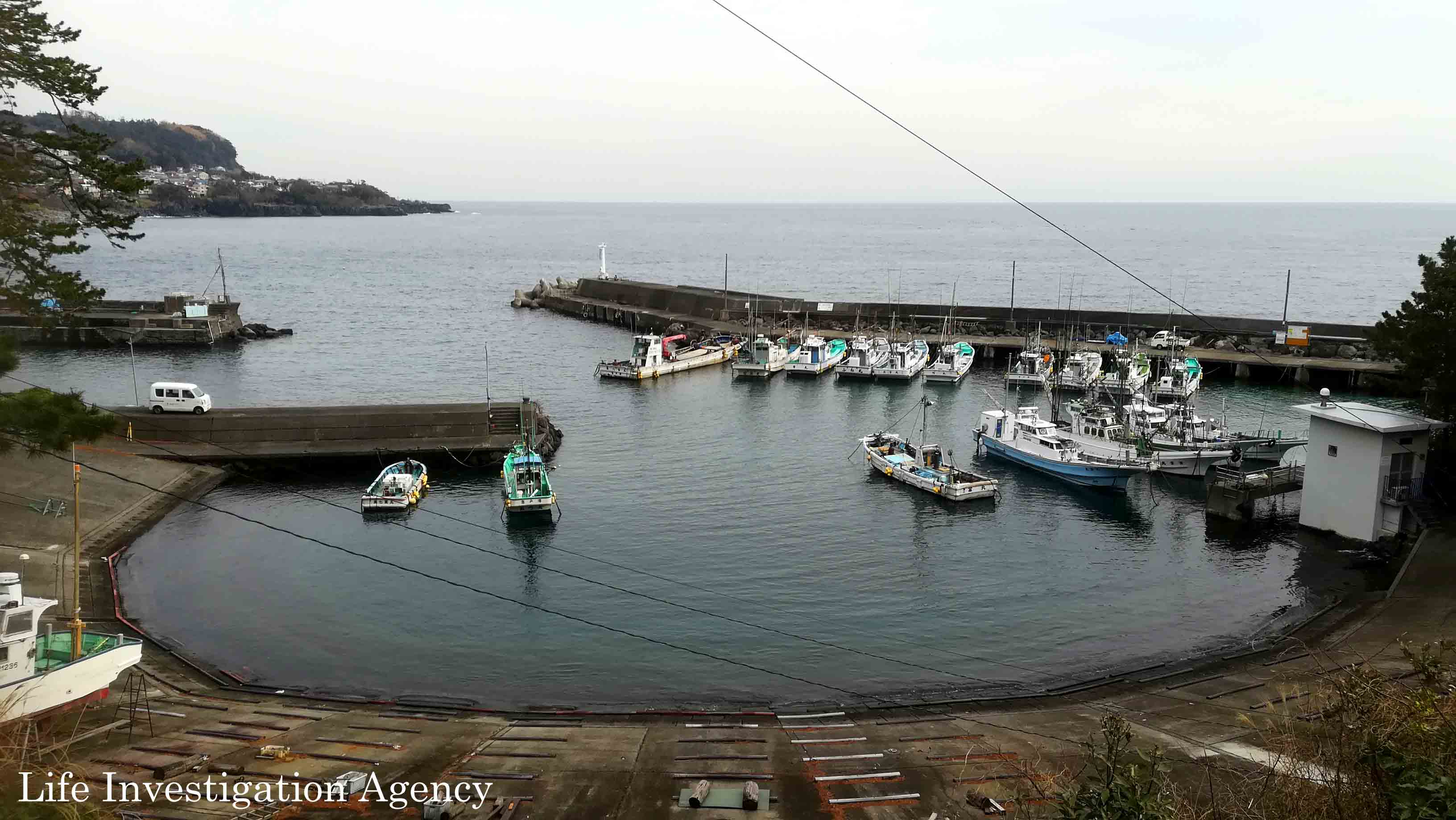 Japon : mise à jour sur la reprise de la chasse au dauphin par la coopérative de pêche de Itō (Futo)