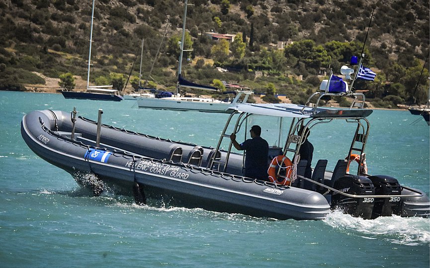 Grèce ~ Échoués sur le rivage, un phoque et trois dauphins torturés et mutilés