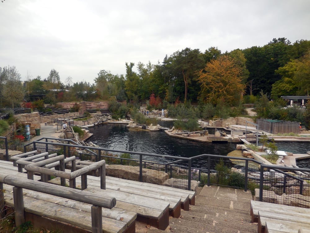 Allemagne ~ Décès d’un dauphin captif au zoo de Nuremberg