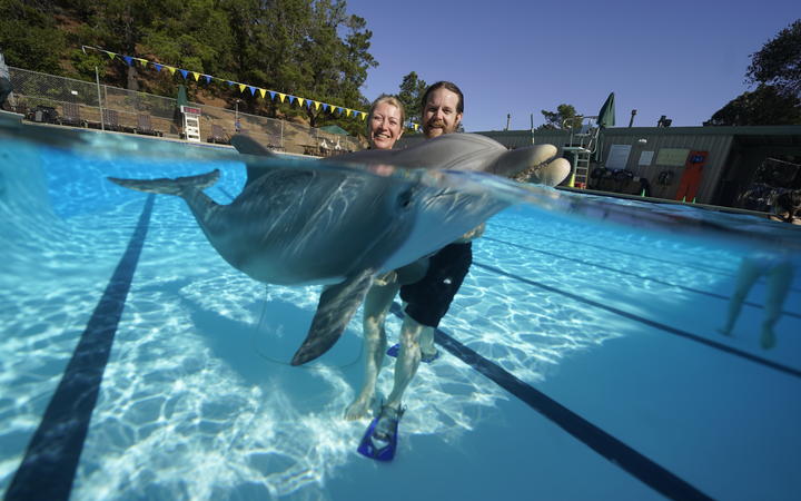 Nouvelle-Zélande ~ Un robot dauphin fait sensation dans les aquariums, tout en remédiant à un problème éthique