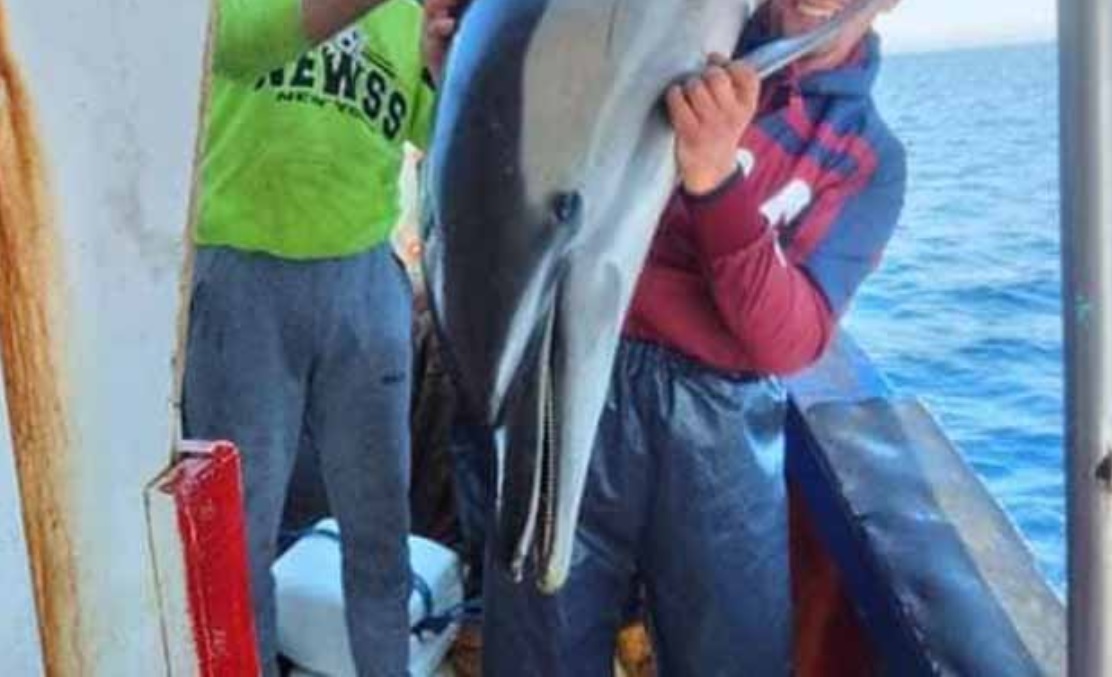 Le selfie de la honte : des pêcheurs posent avec un dauphin, capturé dans leurs filets