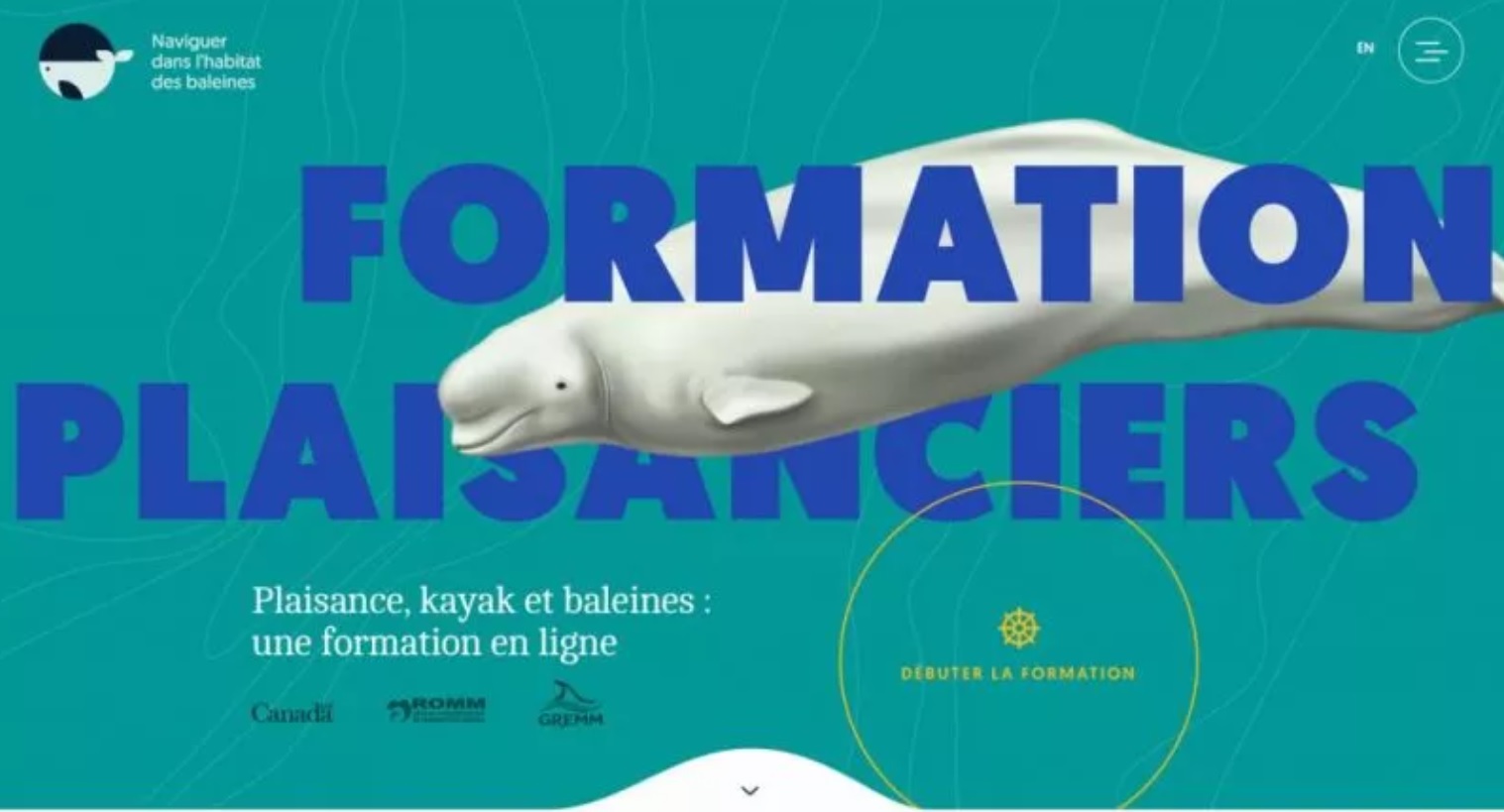 Canada ~ Formation gratuite intitulée : « Naviguer dans l’habitat des baleines »