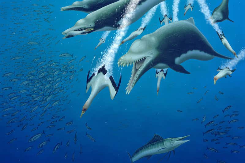 Paléontologie ~ L’étonnante évolution en parallèle des dauphins et des baleines dévoilée