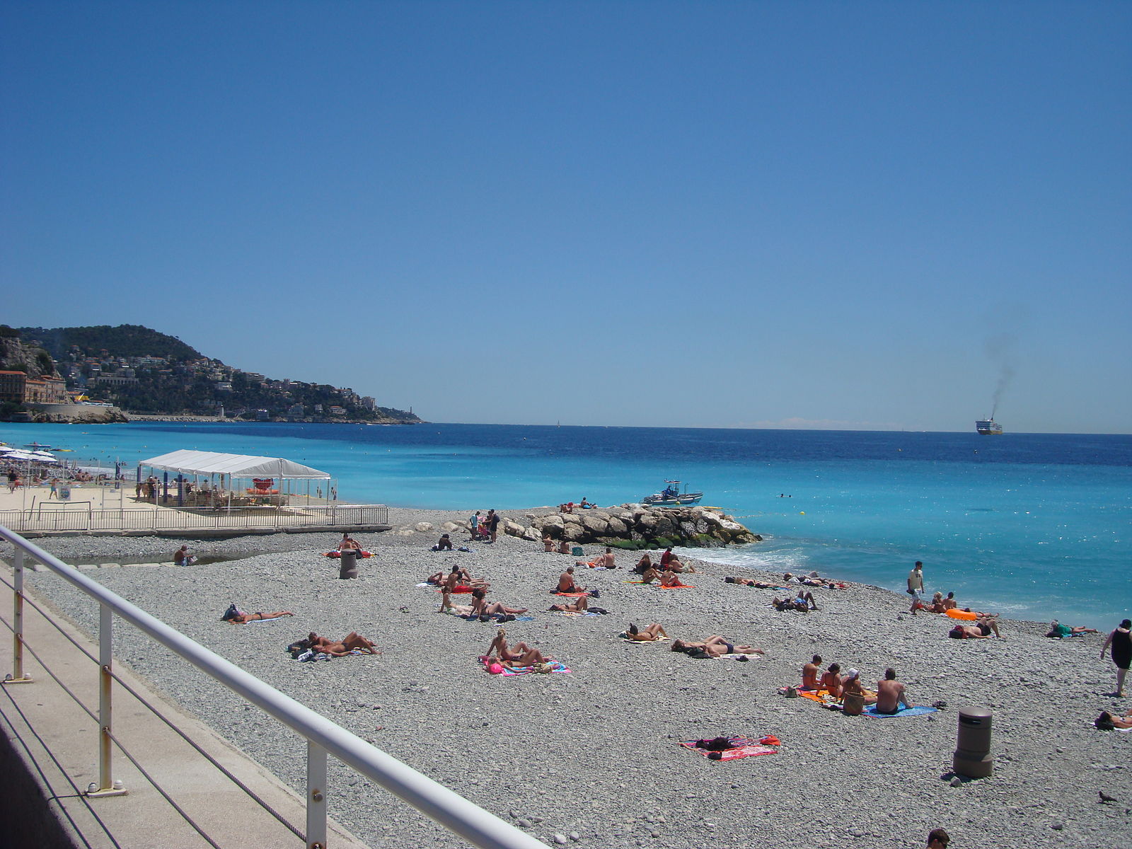 Un jeune dauphin retrouvé mort sur les galets de Blue Beach à Nice