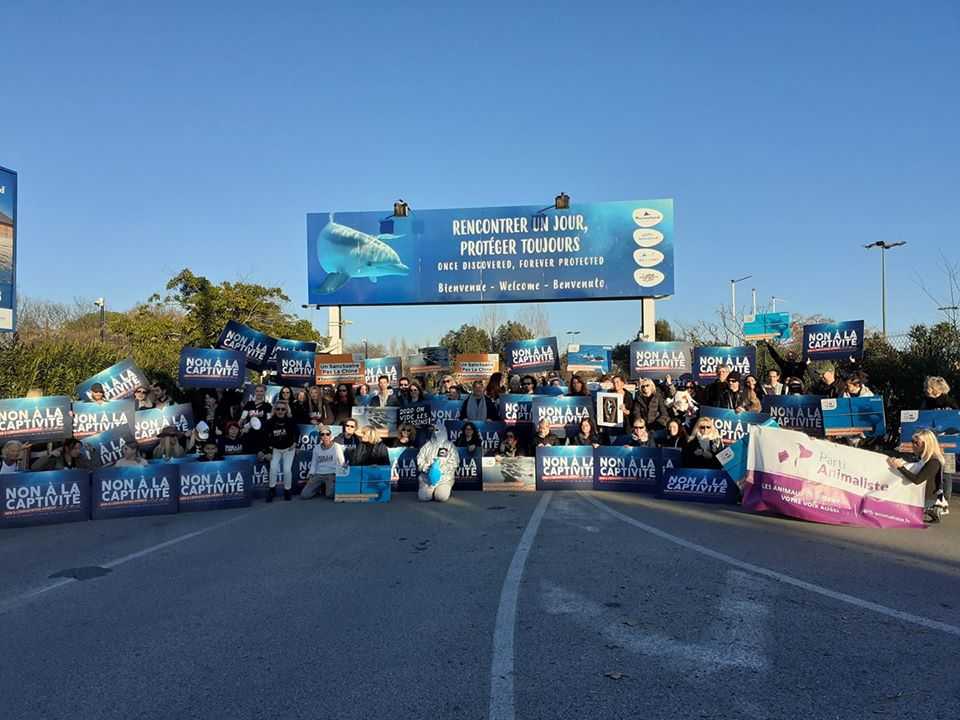 Grande manifestation estivale unitaire du GAC ~ Le dimanche 16 août 2020, au Marineland d’Antibes (06)