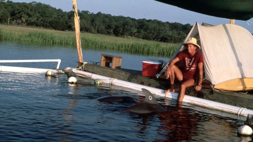 Protocole de remise en liberté des dauphins captifs ~ Par Richard O’Barry, Dolphin Project