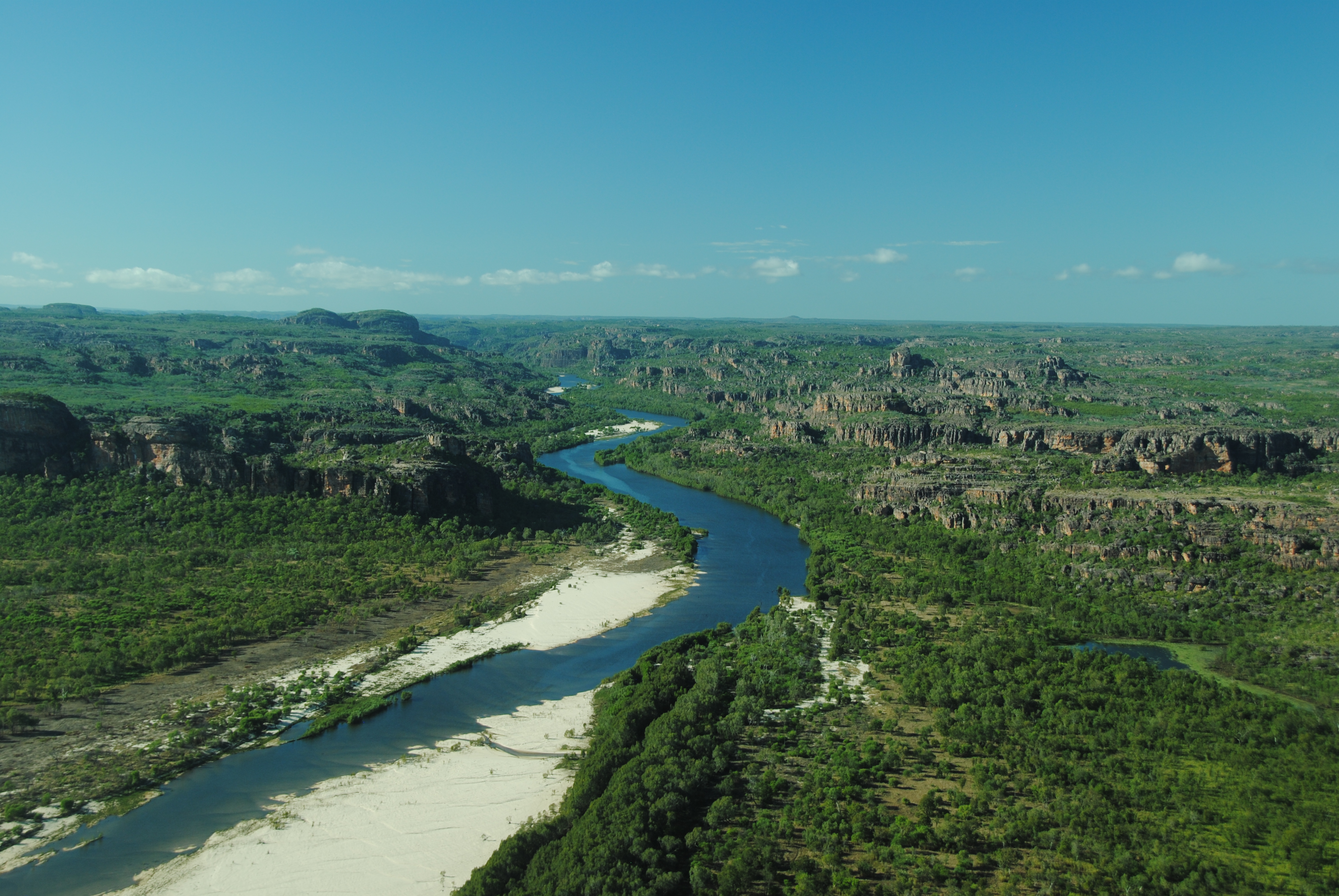 Australie ~ Des baleines à bosse dans une rivière infestée de crocodiles
