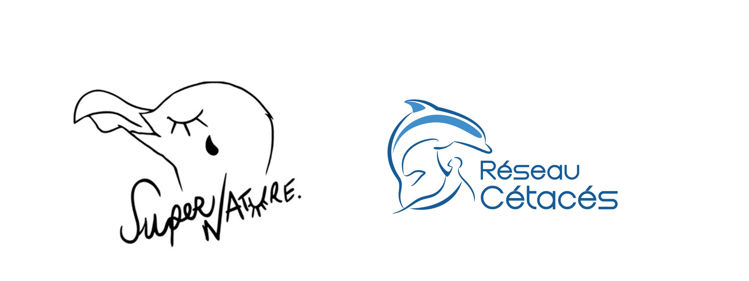 Nouveau partenaire Réseau-Cétacés ~ SuperNature Design