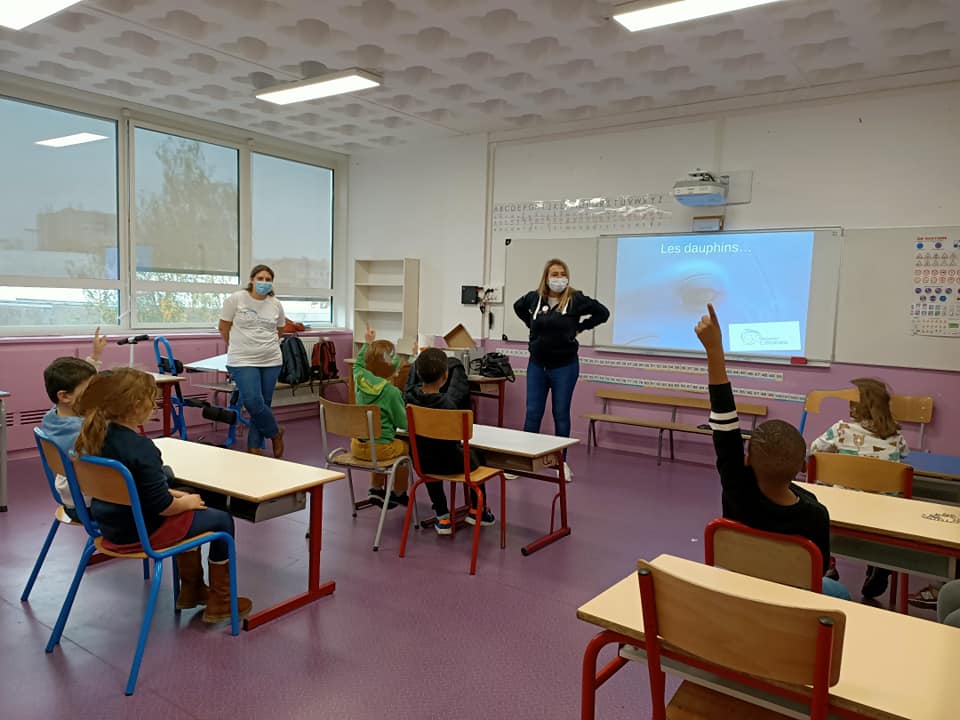 Programme #CétacésEnClasse : des vacances de la Toussaint actives pour Réseau-Cétacés