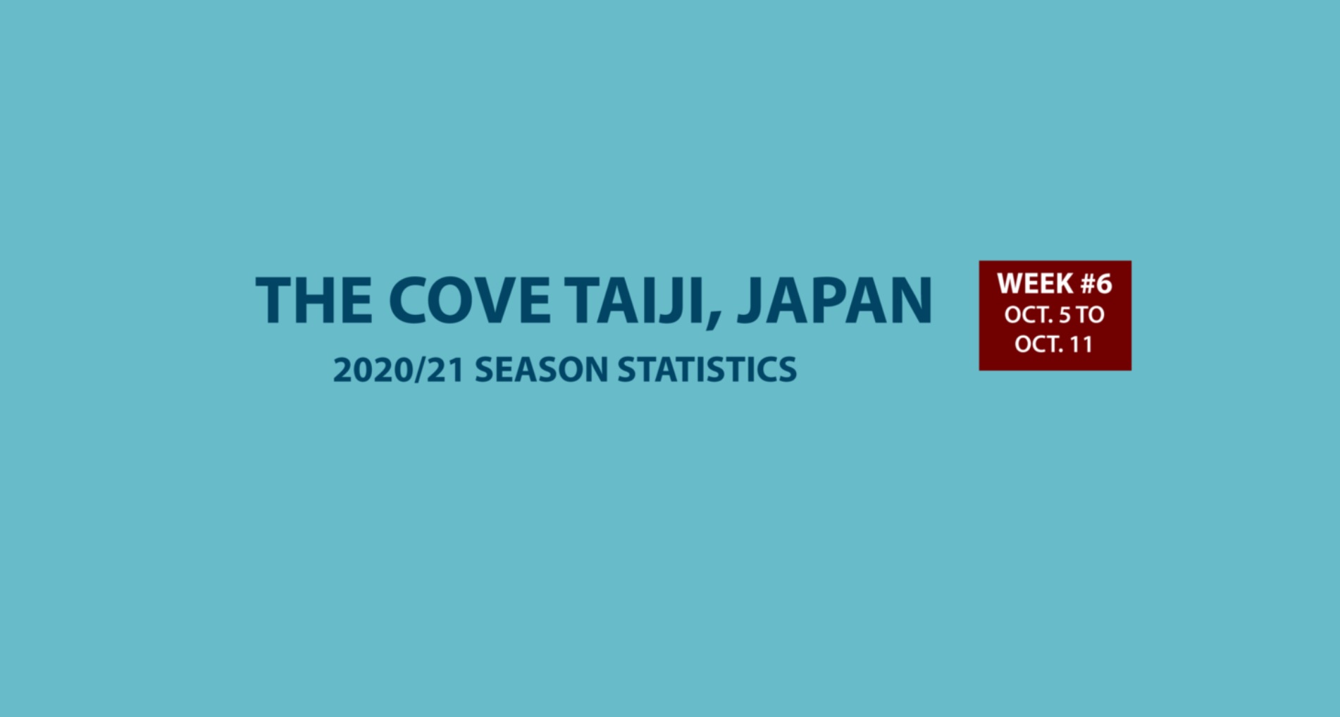 Chasse au dauphin à Taïji (Japon) – Bilan semaine du 05 au 11 octobre 2020 #06