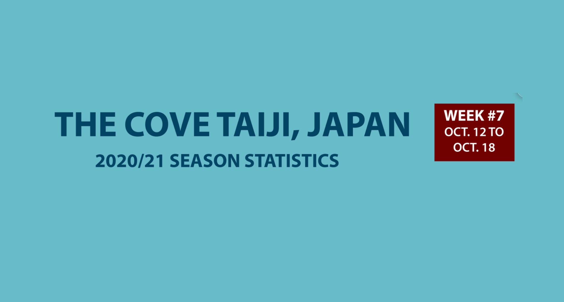 Chasse au dauphin à Taïji (Japon) – Bilan semaine du 12 au 18 octobre 2020 #07