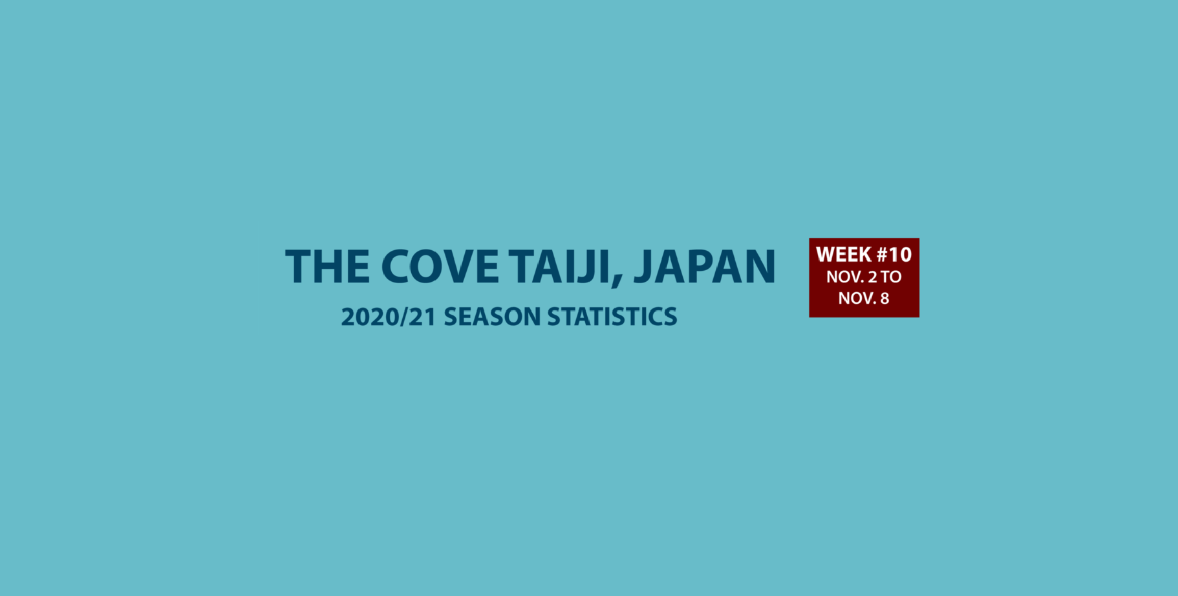 Chasse au dauphin à Taïji (Japon) – Bilan semaine du 02 au 08 novembre 2020 #10