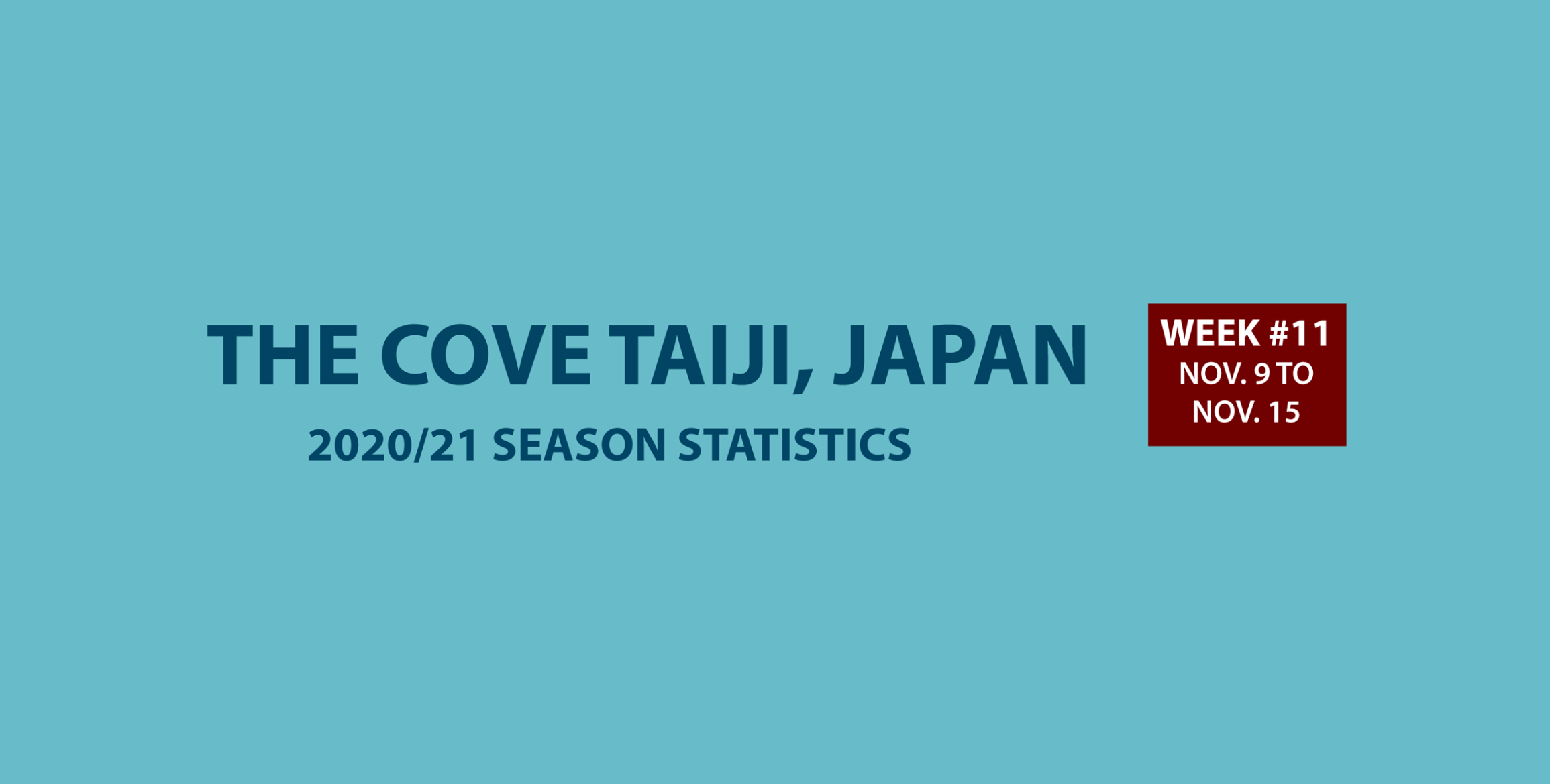 Chasse au dauphin à Taïji (Japon) – Bilan semaine du 09 au 15 novembre 2020 #11