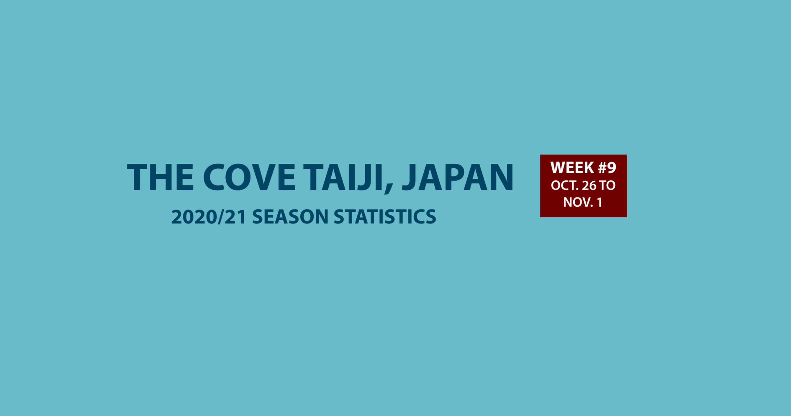 Chasse au dauphin à Taïji (Japon) – Bilan semaine du 26 octobre au 1er novembre 2020 #09