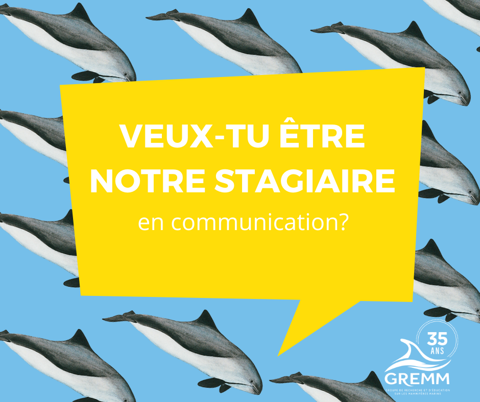 Canada ~ Offre de stage au GREMM – Assistant.e aux communications